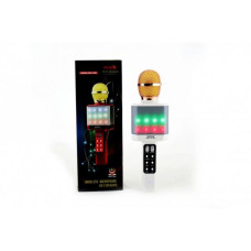 Мікрофон DM Karaoke WS 1828