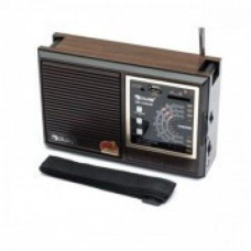 Радіоприймач GOLON RX-98UAR, USB/SD, 5W, АКБ, 220V, 4*LR20/R20/D