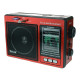 Радіоприймач Golon RX-006UAR з USB/SD, акумуляторний