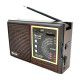 Радиоприемник GOLON RX-9933UAR, FM, USB/SD, 5W, АКБ, 220V, 4*LR20/R20/D, корпус пластмасс